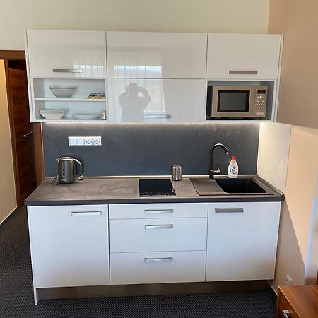 Apartmany Wellness Frymburk Extérieur photo