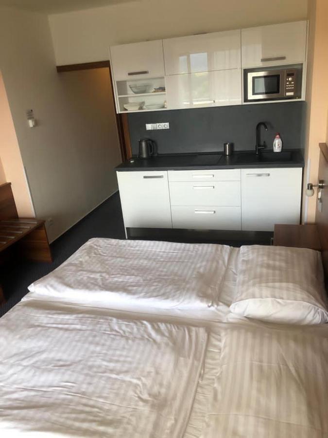 Apartmany Wellness Frymburk Extérieur photo