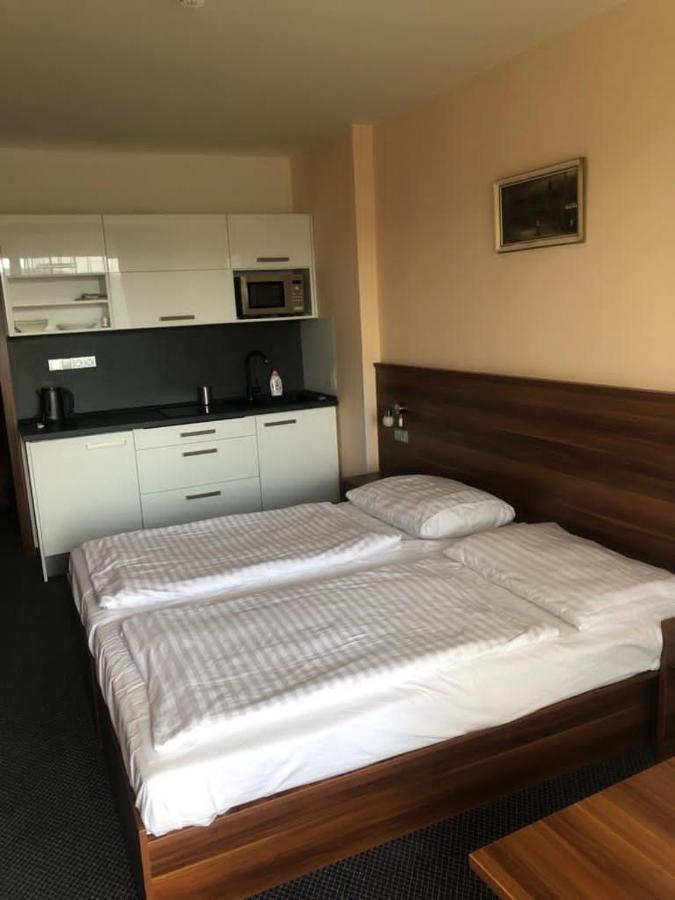 Apartmany Wellness Frymburk Extérieur photo